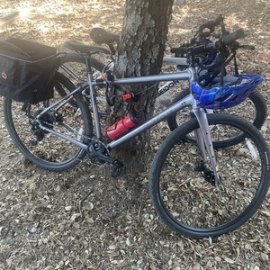 2025 Salsa Journeyer deore Silver, gray or bare metal