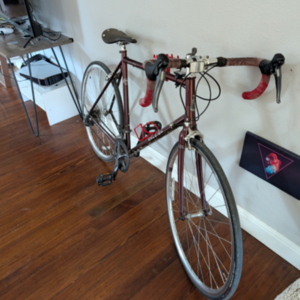 2018 Raleigh Grand Sport Red