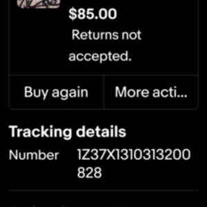 Genesis Bella Vista 24" Blue