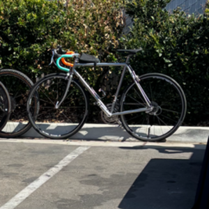 Misc bike! Silver, gray or bare metal