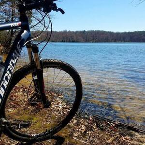 2015 Cannondale Trail 5 Blue