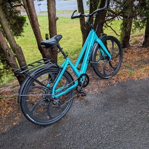 2024 Pedego Step through Blue and Black