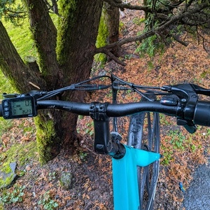 2024 Pedego Step through