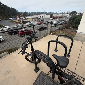 2025 GOTRAX GT-Z4LITE-BLACK Aluminum Alloy Black