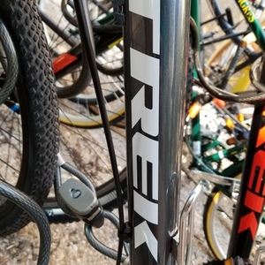 Trek dual sport 1 Silver or Gray