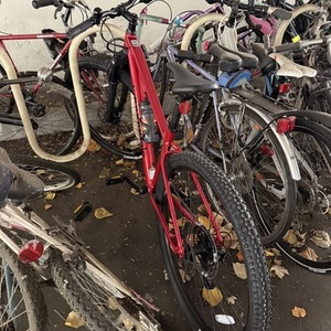 2025 Cannondale Trail 2 Red