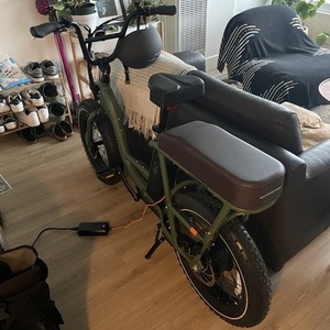 2018 Rad Power Bikes Radrunner 2 Green