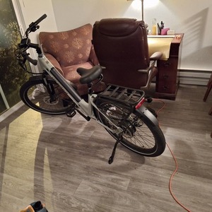 2024 Denago Denago comuter Green