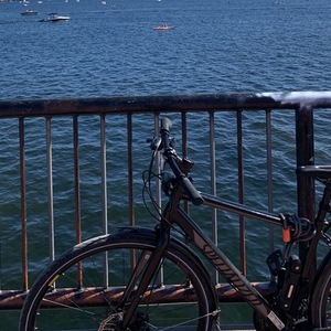 Specialized Vita Black and Teal