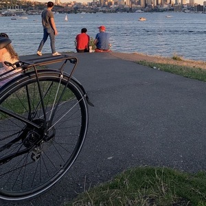 Specialized Vita Black and Teal