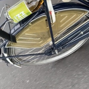 Sparta Black and Blue