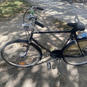 Sparta Black and Blue