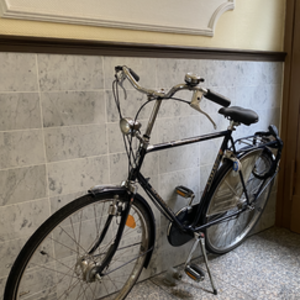 Sparta Black and Blue