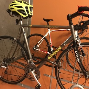 1998 Litespeed Tuscany Silver or Gray