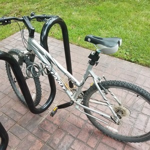 Giant Rincon Silver or Gray