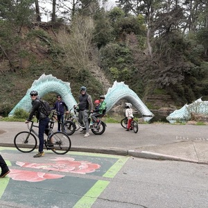 2022 Rad Power Bikes Radrunner plus Silver, gray or bare metal