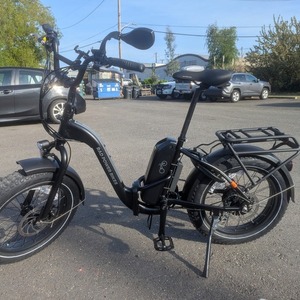2025 Rad Power Bikes 2025 Black