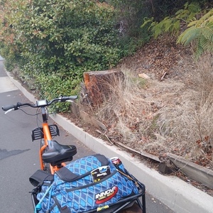 2020 Rad Power Bikes 4 Yellow or Gold