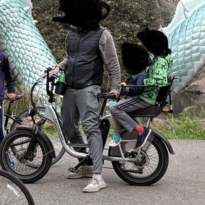 2022 Rad Power Bikes Radrunner plus Silver, gray or bare metal