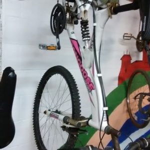 2010 Mongoose mtb White