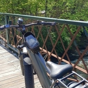 2025 Vitus Veefa bike Silver, gray or bare metal