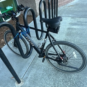 2025 Aventón Soltera Black