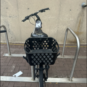 2026 Trek VERVE 3 DISC L SL Silver, gray or bare metal