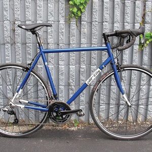 2013 All City Mr. Pink Blue