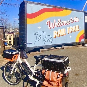 2019 Rad Power Bikes RadWagon cargo bike rear White, Black, and Orange
