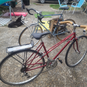 1981 Lotus Mixte Red