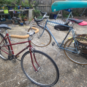 1981 Lotus Mixte Red