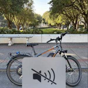 2019 Rad Power Bikes RadCity Black and Orange