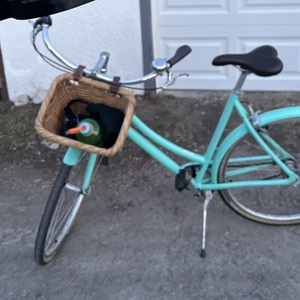 2026 Specialized Daily Step Through Teal