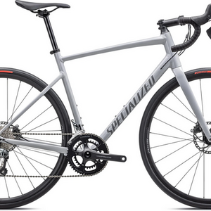 2023 Specialized Allez Silver, gray or bare metal