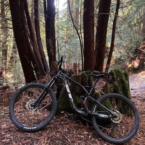 GT Bicycles FORCE SPORT Black