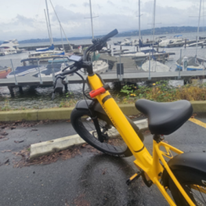 2026 Velotric Velotric Fold 1 Plus Yellow or Gold