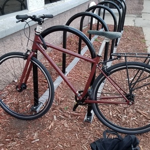 Gary Fisher Gritty Brown