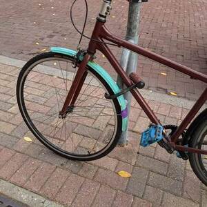 Gary Fisher Gritty Brown