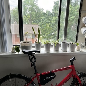 Specialized Sirrus Red