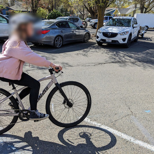 2024 Specialized Sirrus X 2.0 Pink