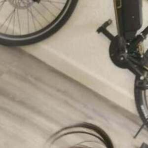 Other Black and Yellow or Gold