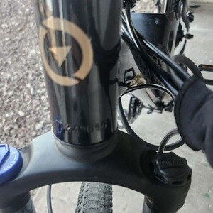 Other Black and Yellow or Gold