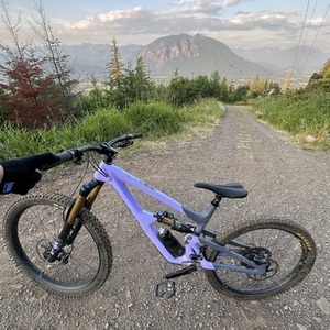 2024 Ibis HD6 Purple