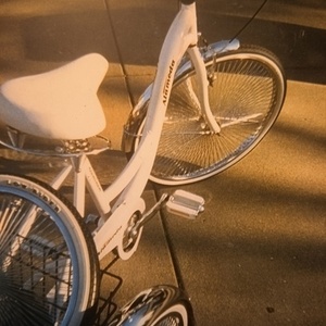 Alameda tricycle White and Silver, gray or bare metal