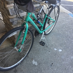 2015 Shimano Crossroads Teal and Silver or Gray