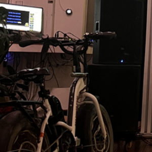 Rad Power Bikes Rad Expand 5 White