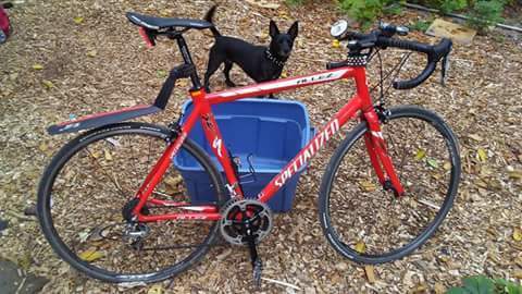 2006 specialized allez elite Off 79 