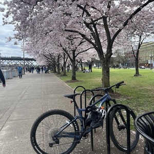 2022 Giant Stance Blue