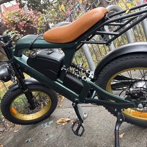 2025 Smart travel Raptor ST202 Green