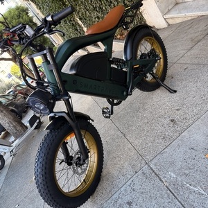 2025 Smart travel Raptor ST202 Green